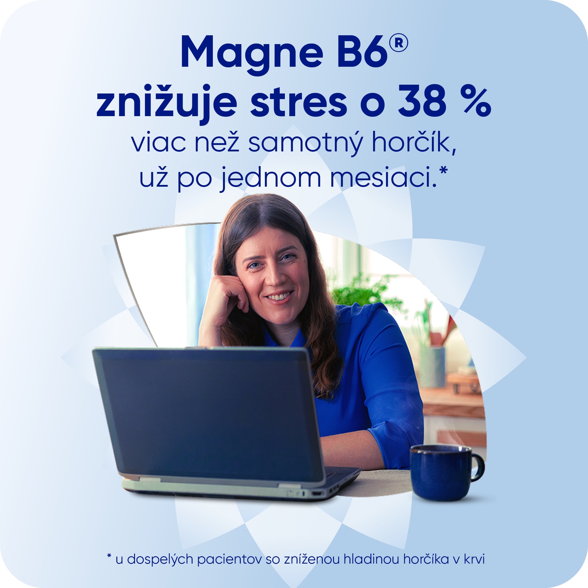 Magne B6