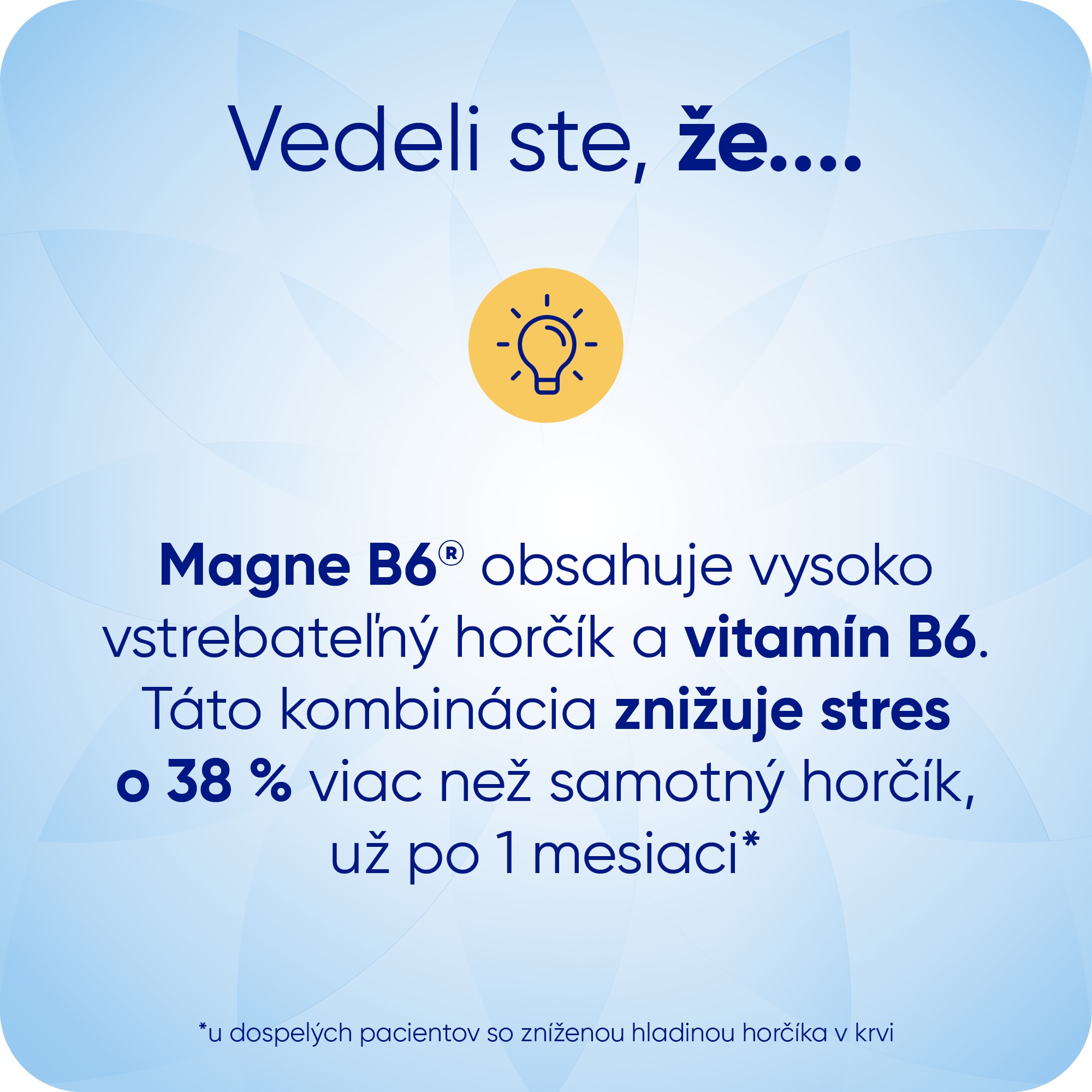 Magne B6