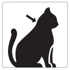 Obrázok VECTRA Felis Spot-On pre mačky 0,6-10 kg 0,9 ml 3 pipety (5)