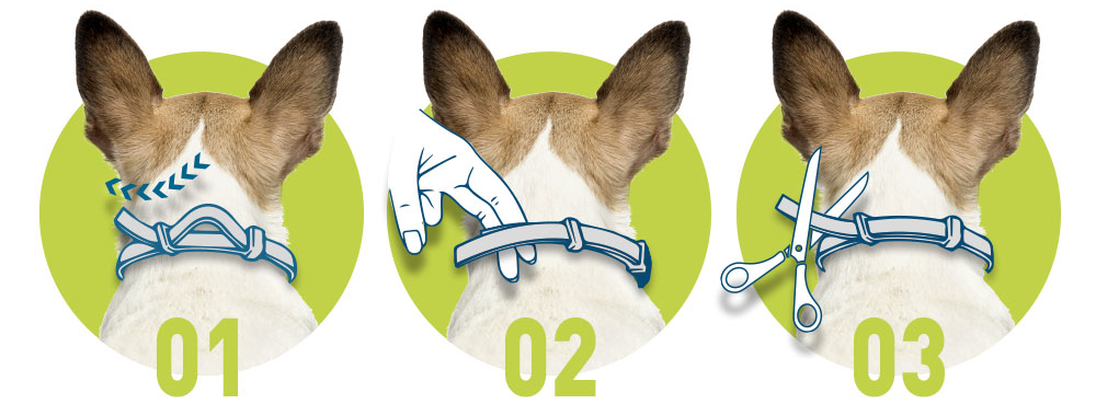 Obrázok FORESTO 4,50 g + 2,03 g Obojok pre psov nad 8 kg dĺžka 70 cm (3)